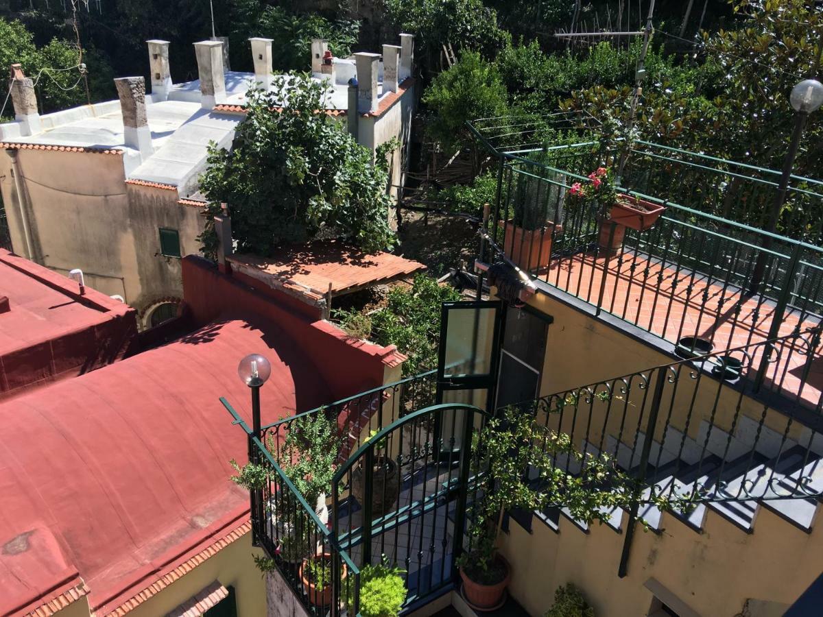B&B Lemons Coast Cetara Buitenkant foto